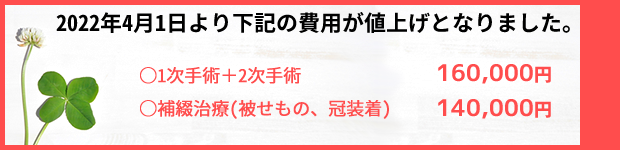 2022年4月1日より下記の費用が値上げとなります。