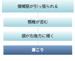 E̙a̒ቺ{{̊֐|遨OE]ƂOɉ]遨mX؂遨łcށEɌX